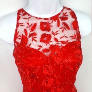 DB Studio Red Floral Lace Dress